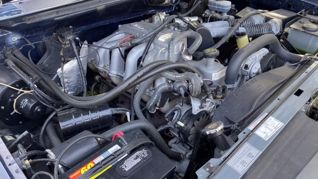 ford 300 immortal engine